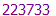 223733