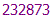 232873