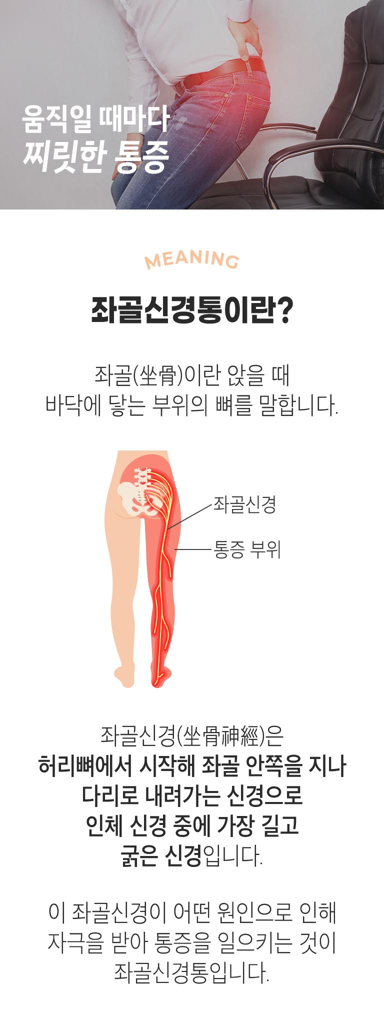 움직일 때마다 찌릿한 통증. MEANING 좌골신경통이란? ▷ 좌골(坐骨)이란 앉을 때 바닥에 닿는 부위의 뼈를 말합니다. 좌골신경(坐骨神經)은 허리뼈에서 시작해 좌골 안쪽을 지나 다리로 내려가는 신경으로 인체 신경 중에 가장 길고 굵은 신경입니다. 이 좌골신경이 어떤 원인으로 인해 자극을 받아 통증을 일으키는 것이 좌골신경통입니다.