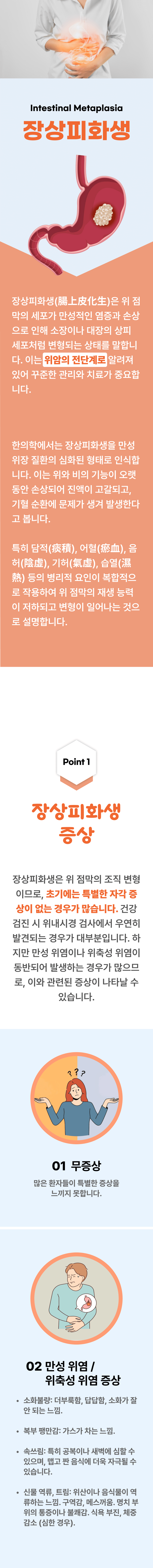 장상피화생 ▷ 장상피화생(腸上皮化生)은 위 점막의 세포가 만성적인 염증과 손상으로 인해 소장이나 대장의 상피세포처럼 변형되는 상태를 말합니다. 이는 위암의 전단계로 알려져있어 꾸준한 관리와 치료가 중요합니다. 한의학에서는 장상피화생을 만성 위장 질환의 심화된 형태로 인식합니다. 이는 위와 비의 기능이 오랫동안 손상되어 진액이 고갈되고, 기혈 순환에 문제가 생겨 발생한다고 봅니다. 특히 담적, 어혈, 음허, 기허, 습열 등의 병리적 요인이 복합적으로 작용하여 위 점막의 재생 능력이 저하되고 변형이 일어나는 것으로 설명합니다. Point 1 장상피화생 증상 ▷ 장상피화생은 위 점막의 조직 변형이므로, 초기에는 특별한 자각 증상이 없는 경우가 많습니다. 건강검진 시 위내시경 검사에서 우연히 발견되는 경우가 대부분입니다. 하지만 만성 위염이나 위축성 위염이 동반되어 발생하는 경우가 많으므로, 이와 관련된 증상이 나타날 수 있습니다. 01 무증상 - 많은 환자들이 특별한 증상을 느끼지 못합니다. 02 만성 위염 / 위축성 위염 증상 - 소화불량 : 더부룩함, 답답함, 소화가 잘 안되는 느낌. 복부 팽만감 : 가스가 차는 느낌. 속쓰림  : 특히 공복이나 새벽에 심할 수 있으며, 맵고 짠 음식에 더욱 자극될 수 있습니다. 신물 역류, 트림 : 위산이나 음식물이 역류하는 느낌. 구역감, 메스꺼움. 명치 부위의 통증이나 불쾌감. 식욕 부진, 체중 감소(심한 경우).