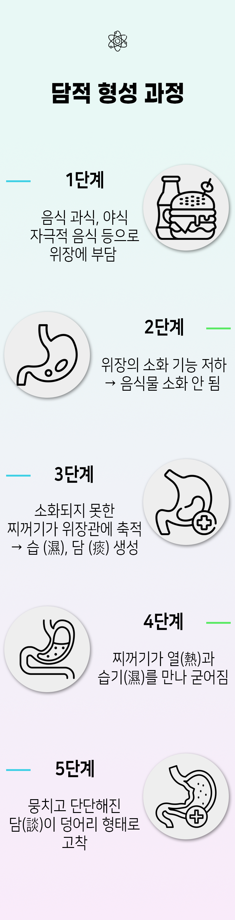 담적 형성 과정 ▶ 1단계 - 음식 과식, 야식 자극적 음식 등으로 위장에 부담. 2단계 - 위장의 소화 기능 저하 → 음식물 소화 안 됨. 3단계 - 소화되지 못한 찌꺼기가 위장관에 축적 → 습(濕), 담(痰) 생성. 4단계 - 찌꺼기가 열(熱)과 습기(濕)를 만나 굳어짐. 5단계 - 뭉치고 단단해진 담(痰)이 덩어리 형태로 고착.