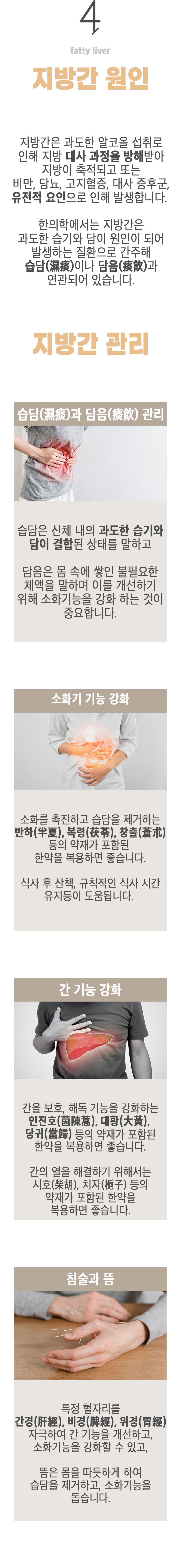 04 지방간 원인 ▷ 지방간은 과도한 알코올 섭취로 인해 지방 대사 과정을 방해받아 지방이 축적되고 또는 비만, 당뇨, 고지혈증, 대사 증후군, 유전적 요인으로 인해 발생합니다. 한의학에서는 지방간은 과도한 습기와 담이 원인이 되어 발생하는 질환으로 간주해 습담(濕痰)이나 담음(痰飮)과 연관되어 있습니다. 지방간 관리 ▶ 습담(濕痰)과 담음(痰飮) 관리 - 습담은 신체 내에 과도한 습기와 담이 결합된 상태를 말하고 담음은 몸 속에 쌓인 불필요한 체액을 말하며 이를 개선하기 위해 소화기능을 강화 하는 것이 중요합니다. 소화기 기능 강화 - 소화를 촉진하고 습담을 제거하는 반하(半夏), 복령(茯苓), 창출(蒼朮) 등의 약재가 포함된 한약을 복용하면 좋습니다. 식사 후 산책, 규칙적인 식사 시간 유지 등이 도움됩니다. 간 기능 강화 - 간을 보호, 해독 기능을 강화하는 인진호(茵陳蒿), 대황(大黃), 당귀(當歸) 등의 약재가 포 함된 한약을 복용하면 좋습니다. 간의 열을 해결하기 위해서는 시호(柴胡), 치자(梔子) 등의 약재가 포함된 한약을 복용하면 좋습니다. 침술과 뜸 - 특정 혈자리를 간경(肝經), 비경(脾經), 위경(胃經) 자극하여 간 기능을 개선하고, 소화기능을 강화할 수 있고, 뜸은 몸을 따뜻하게 하여 습담을 제거하고, 소화기능을 돕습니다.