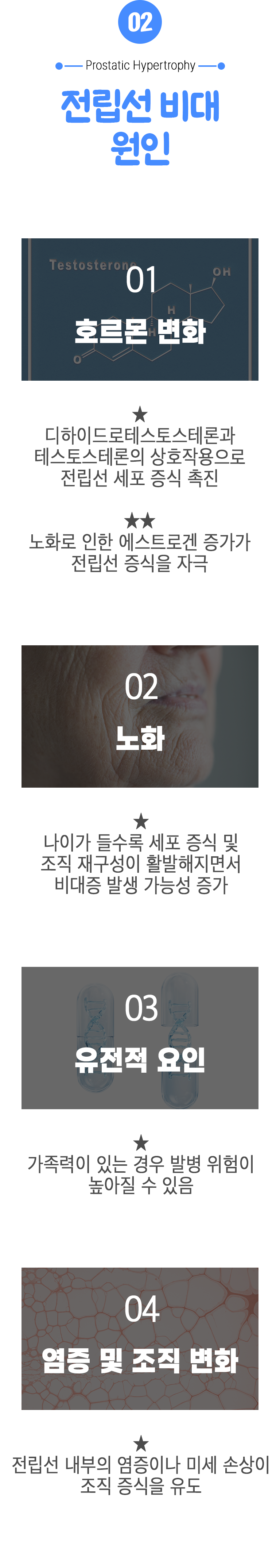 02 전립선 비대 원인 ▷ 1. 호르몬 변화 - ★ 디하이드로테스토스테론과 테스토스테론의 상호작용으로 전립선 세포 증식 촉진 ★★ 노화로 인한 에스트로겐 증가가 전립선 증식을 자극. 2. 노화 - ★ 나이가 들수록 세포 증식 및 조직 재구성이 활발해지면서 비대증 발생 가능성 증가. 3. 유전적 요인 - ★ 가족력이 있는 경우 발병 위험이 높아질 수 있음. 4. 염증 및 조직 변화 - ★ 전립선 내부의 염증이나 미세 손상이 조직 증식을 유도