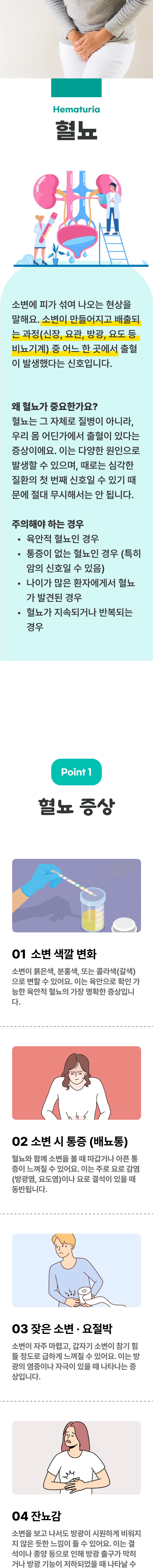 혈뇨 ▷ 소변에 피가 섞여 나오는 현상을 말해요. 소변이 만들어지고 배출되는 과정(신장, 요관, 방광, 요도 등 비뇨기계) 중 어느 한 곳에서 출혈이 발생했다는 신호입니다. 왜 혈뇨가 중요한가요? 혈뇨는 그 자체로 질병이 아니라, 우리 몸 어딘가에서 출혈이 있다는 증상이에요. 이는 다양한 원인으로 발생할 수 있으며, 때로는 심각한 질환의 첫 번째 신호일 수 있기 때문에 절대 무시해서는 안 됩니다. 주의해야 하는 경우 - 육안적 혈뇨인 경우, 통증이 없는 혈뇨인 경우(특히 암의 신호일 수 있음), 나이가 많은 환자에게서 혈뇨가 발견된 경우, 혈뇨가 지속되거나 반복되는 경우. 01 혈뇨 증상 ▷ 1. 소변 색깔 변화 - 소변이 붉은색, 분홍색, 또는 콜라색(갈색)으로 변할 수 있어요. 이는 육안으로 확인 가능한 육안적 혈뇨의 가장 명확한 증상입니다. 2. 소변 시 통증(배뇨통) - 혈뇨와 함께 소변을 볼 때 따갑거나 아픈 통증이 느껴질 수 있어요. 이는 주로 요로 감염(방광염, 요도염)이나 요로 결석이 있을 때 동반됩니다. 3. 잦은 소변·요절박 - 소변이 자주 마렵고, 갑자기 소변이 참기 힘들 정도로 급하게 느껴질 수 있어요. 이는 방광의 염증이나 자극이 있을 때 나타나는 증상입니다. 4. 잔뇨감 - 소변을 보고 나서도 방광이 시원하게 비워지지 않는 듯한 느낌이 들 수 있어요. 이는 결석이나 종양 등으로 인해 방광 출구가 막히거나 방광 기능이 저하되었을 때 나타날 수 있습니다.