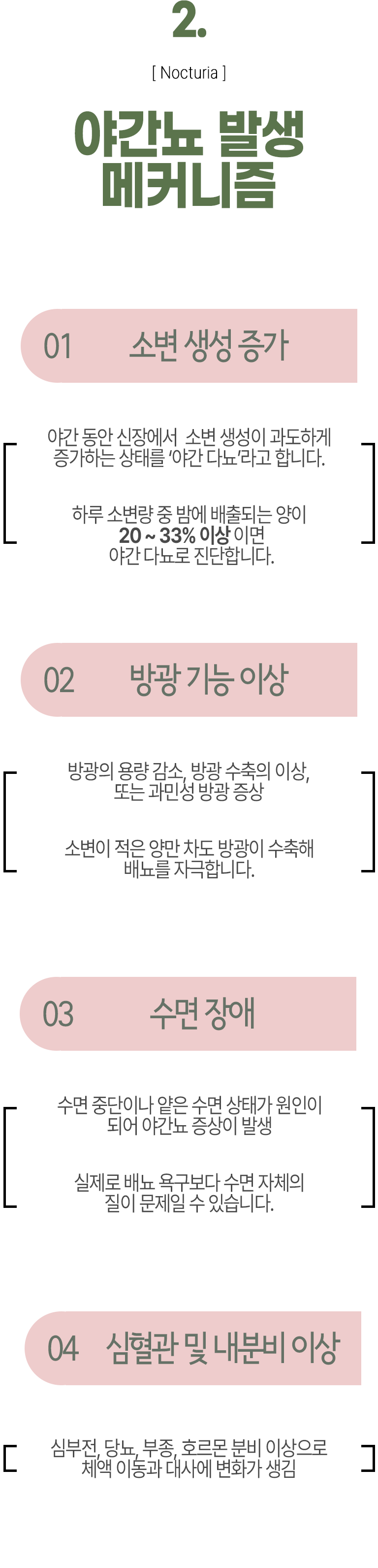 02 야간뇨 발생 메커니즘 ▷ 1. 소변 생성 증가 - 야간 동안 신장에서 소변 생성이 과도하게 증가하는 상태를 '야간 다뇨'라고 합니다. 하루 소변량 중 밤에 배출되는 양이 20~33% 이상이면 야간 다뇨로 진단합니다. 2. 방광 기능 이상 - 방광의 용량 감소, 방광 수축의 이상, 또는 과민성 방광 증상 소변이 적은 양만 차도 방광이 수축해 배뇨를 자극합니다. 3. 수면 장애 - 수면 중단이나 얕은 수면 상태가 원인이 되어 야간뇨 증상이 발생 실제로 배뇨 욕구보다 수면 자체의 질이 문제일 수 있습니다. 4. 심혈관 및 내분비 이상 - 심부전, 당뇨, 부종, 호르몬 분비 이상으로 체액 이동과 대사에 변화가 생김.