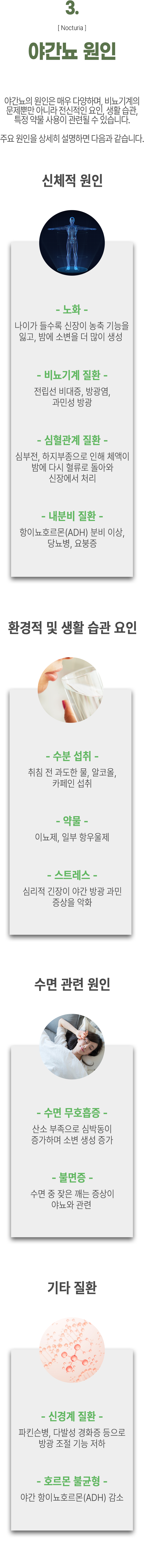 03 야간뇨 원인 ▷ 야간뇨의 원인은 매우 다양하며, 비뇨기계의 문제뿐만 아니라 전신적인 요인, 생활 습관, 특정 약물 사용이 관련될 수 있습니다. 주요 원인을 상세히 설명하면 다음과 같습니다. 신체적 원인 - ① 노화 : 나이가 들수록 신장이 농축 기능을 잃고, 밤에 소변을 더 많이 생성 ② 비뇨기계 질환 - 전립선 비대증, 방광염, 과민성 방광 ③ 심혈관계 질환 : 심부전, 하지부종으로 인해 체액이 밤에 다시 혈류로 돌아와 신장에서 처리 ④ 내분비 질환 : 항이뇨호르몬(ADH) 분비 이상, 당뇨병, 요붕증. 환경적 및 생활 습관 요인 - ① 수분 섭취 : 취침 전 과도한 물, 알코올, 카페인 섭취 ② 약물 : 이뇨제, 일부 항우울제 ③ 스트레스 : 심리적 긴장이 야간 방광 과민 증상을 악화. 수면 관련 원인 - ① 수면 무호흡증 : 산소 부족으로 심박동이 증가하며 소변 생성 증가 ② 불면증 : 수면 중 잦은 깨는 증상이 야뇨와 관련. 기타 질환 - ① 신경계 질환 : 파킨슨병, 다발성 경화증 등으로 방광 조절 기능 저하 ② 호르몬 불균형 : 야간 항이뇨호르몬(ADH) 감소.