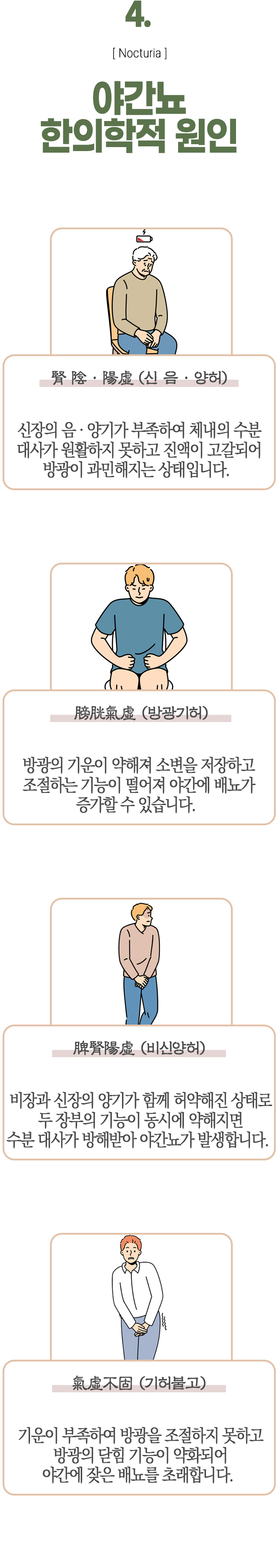 04 야간뇨 한의학적 원인 ▷ 腎陰 · 陽虛(신음·양허) - 신장의 음·양기가 부족하여 체내의 수분 대사가 원활하지 못하고 진액이 고갈되어 방광이 과민해지는 상태입니다. 膀胱氣虛(방광기허) - 방광의 기운이 약해져 소변을 저장하고 조절하는 기능이 떨어져 야간에 배뇨가 증가할 수 있습니다. 脾腎陽虛(비신양허) - 비장과 신장의 양기가 함께 허약해진 상태로 두 장부의 기능이 동시에 약해지면 수분 대사가 방해받아 야간뇨가 발생합니다. 氣虛不固(기허불고) - 기운이 부족하여 방광을 조절하지 못하고 방광의 닫힘 기능이 약화되어 야간에 잦은 배뇨를 초래합니다.