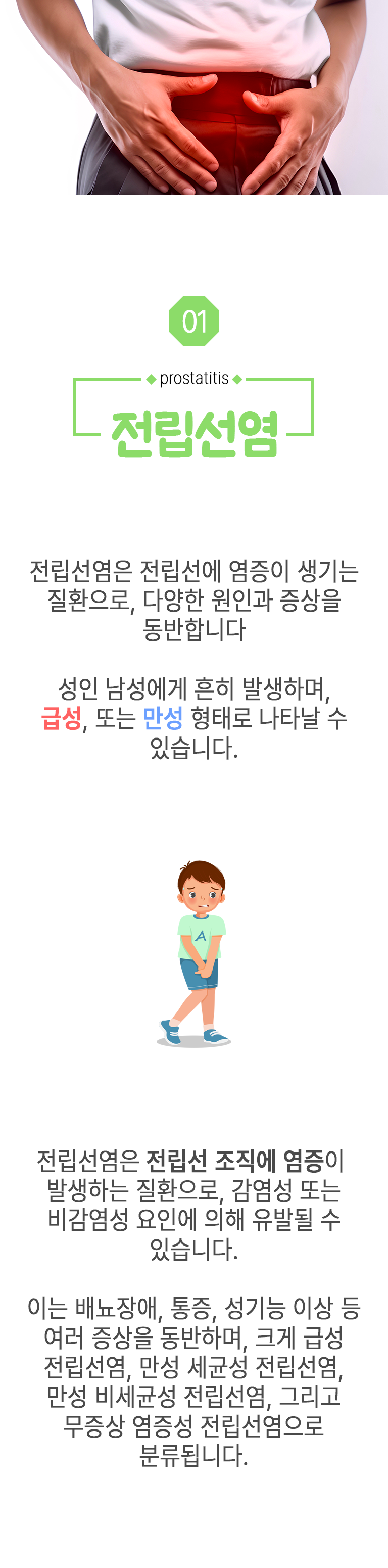 01 전립선염 ▷ 전립선염은 전립선에 염증이 생기는 질환으로, 다양한 원인과 증상을 동반합니다. 성인 남성에게 흔히 발생하며, 급성, 또는 만성 형태로 나타날 수 있습니다. 전립선염은 전립선 조직에 염증이 발생하는 질환으로, 감염성 또는 비감염성 요인에 의해 유발될 수 있습니다. 이는 배뇨장애, 통증, 성기능 이상 등 여러 증상을 동반하며, 크게 급성 전립선염, 만성 세균성 전립선염, 만성 비세균성 전립선염, 그리고 무증상 염증성 전립선염으로 분류됩니다.