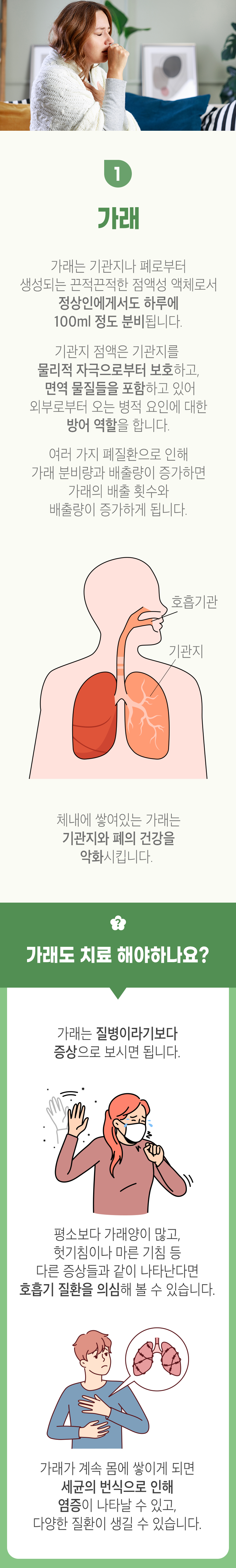 01 가래 ▷ 가래는 기관지나 폐로부터 생성되는 끈적끈적한 점액성 액체로서 정상인에게서도 하루에 100ml 정도 분비됩니다. 기관지 점액은 기관지를 물리적 자극으로부터 보호하고, 면역 물질들을 포함하고 있어 외부로부터 오는 병적 요인에 대한 방어 역할을 합니다. 여러 가지 폐질환으로 인해 가래 분비량과 배출량이 증가하면 가래의 배출 횟수와 배출량이 증가하게 됩니다. 체내에 쌓여있는 가래는 기관지와 폐의 건강을 악화시킵니다. 가래도 치료 해야하나요? 가래는 질병이라기보다 증상으로 보시면 됩니다. 평소보다 가래양이 많고, 헛기침이나 마른 기침 등 다른 증상들과 같이 나타난다면 호흡기 질환을 의심해 볼 수 있습니다. 가래가 계속 몸에 쌓이게 되면 세균의 번식으로 인해 염증이 나타날 수 있고, 다양한 질환이 생길 수 있습니다.