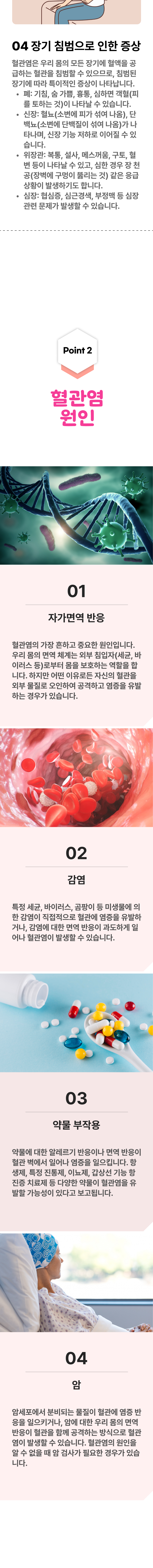 4. 장기 침범으로 인한 증상 - 혈관염은 우리 몸의 모든 장기에 혈액을 공급하는 혈관을 침범할 수 있으므로, 침범된 장기에 따라 특이적인 증상이 나타납니다. 폐 : 기침, 숨 가쁨, 흉통, 심하면 객혈(피를 통하는 것)이 나타날 수 있습니다. 신장 : 혈뇨(소변에 피가 섞여 나옴), 단백뇨(소변에 단백질이 섞여 나옴)가 나타나며, 신장 기능 저하로 이어질 수 있습니다. 위장관 : 복통, 설사, 메스꺼움, 구토, 혈변 등이 나타날 수 있고, 심한 경우 장 천공(장벽에 구멍이 뚫리는 것) 같은 응급 상황이 발생하기도 합니다. 심장 : 협심증, 심근경색, 부정맥 등 심장 관련 문제가 발생할 수 있습니다. 02 혈관염 원인 ▷ 1. 자가면역 반응 - 혈관염이 가장 흔하고 중요한 원인입니다. 우리 몸의 면역 체계는 외부 침입자(세균, 바이러스 등)로부터 몸을 보호하는 역할을 합니다. 하지만 어떤 이유로든 자신의 혈관을 외부 물질로 오인하여 공격하고 염증을 유발하는 경우가 있습니다. 2. 감염 - 특정 세균, 바이러스, 곰팡이 등 미생물에 의한 감염이 직접적으로 혈관에 염증을 유발하거나, 감염에 대한 면역 반응이 과도하게 일어나 혈관염이 발생할 수 있습니다. 3. 약물 부작용 - 약물에 대한 알레르기 반응이나 면역 반응이 혈관 벽에서 일어나 염증을 일으킵니다. 항생제, 특정 진통제, 이뇨제, 갑상선 기능 항진증 치료제 등 다양한 약물이 혈관염을 유발할 가능성이 있다고 보고됩니다. 4. 암 - 암세포에서 분비되는 물질이 혈관에 염증 반응을 일으키거나, 암에 대한 우리 몸의 면역반응이 혈관을 함께 공격하는 방식으로 혈관염이 발생할 수 있습니다. 혈관염의 원인을 알 수 없을 때 암 검사가 필요한 경우가 있습니다.
