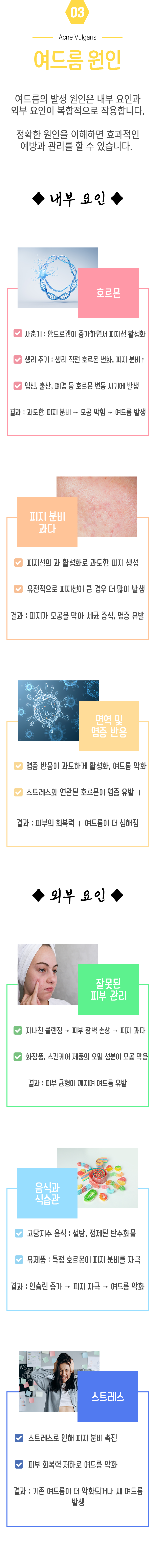 03 여드름 원인 ▷ 여드름의 발생 원인은 내부 요인과 외부 요인이 복합적으로 작용합니다. 정확한 원인을 이해하면 효과적인 예방과 관리를 할 수 있습니다. ◆ 내부 요인 ◆ 호르몬 - 사춘기 : 안드로겐이 증가하면서 피지선 활성화, - 생기 주기 : 생리 직전 호르몬 변화, 피지 분비↑, - 임신, 출산, 폐경 등 호르몬 변동 시기에 발생. 결과 : 과도한 피지 분비 → 모공 막힘 → 여드름 발생. 피지 분비 과다 - 피지선의 과 활성화로 과도한 피지 생성, - 유전적으로 피지선이 큰 경우 더 많이 발생. 결과 : 피지가 모공을 막하 세균 증식, 염증 유발. 면역 및 염증 반응 - 염증 반응이 과도하게 활성화, 여드름 악화, - 스트레스와 연관된 호르몬이 염증 유발↑. 결과 : 피부의 회복력↓ 여드름이 더 심해짐. ◆ 외부 요인 ◆ 잘못된 피부 관리 - 지나친 클렌징 → 피부 장벽 손상 → 피지 과다, - 화장품, 스킨케어 제품의 오일 성분이 모공 막음. 결과 : 피부 균형이 깨지며 여드름 유발. 음식과 식습관 - 고당지수 음식 : 설탕, 정제된 탄수화물, - 유제품 : 특정 호르몬이 피지 분비를 자극. 결과 : 인슐린 증가 → 피지 자극 → 여드름 악화. 스트레스 - 스트레스로 인해 피지 분비 촉진, - 피부 회복력 저하로 여드름 악화. 결과 : 기존 여드름이 더 악화되거나 새 여드름 발생.